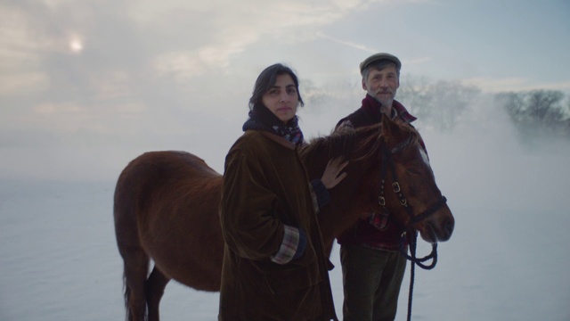 Video Reference: Cloud, Sky, Horse, Smile, Working animal, Outdoor recreation, Travel, Recreation, Freezing, Landscape
