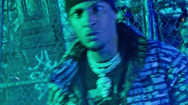 Video Reference: Tree, Electric blue, Terrestrial plant, Forest, Cap, Plant, Hat, Darkness, Fur, Winter