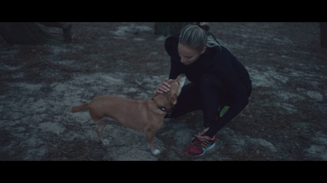 Video Reference: Dog, Flash photography, Dog breed, Carnivore, Companion dog, Working animal, Midnight, Darkness, Fun, Canidae