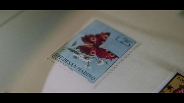 Video Reference: Flower, Petal, Textile, Rectangle, Plant, Font, Magenta, Pattern, Creative arts, Paper