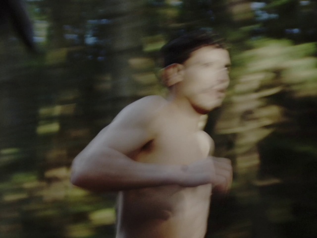 Video Reference: Flash photography, Gesture, People in nature, Plant, Chest, Tree, Trunk, Grass, Barechested, Happy