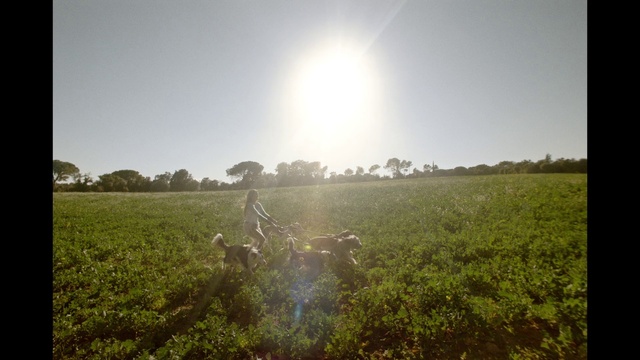 Video Reference: Plant, Sky, Ecoregion, Green, Natural landscape, Gesture, Sunlight, People in nature, Grass, Tree