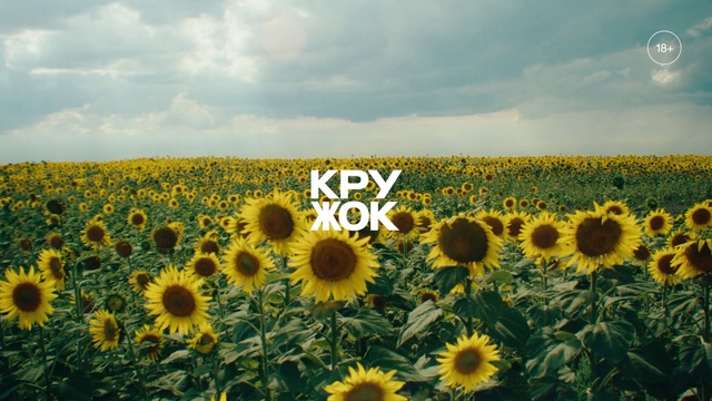 Video Reference: Flower, Sky, Plant, Cloud, Ecoregion, Botany, Natural environment, Natural landscape, Vegetation, Organism