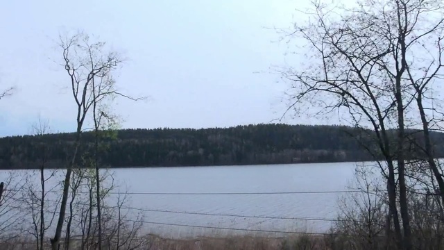 Video Reference: Water, Sky, Plant, Nature, Natural landscape, Natural environment, Branch, Tree, Cloud, Lake