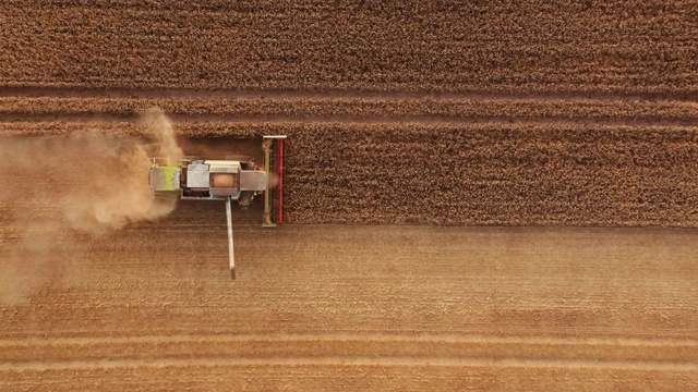 Video Reference: Wood, Flooring, Plain, Grass, Tints and shades, Landscape, Asphalt, Grassland, Brick, Field