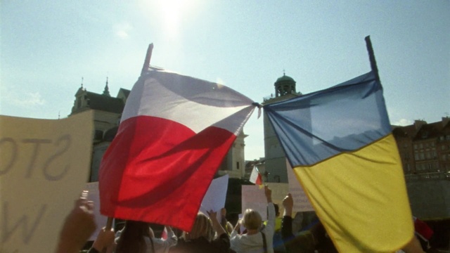 Video Reference: Sky, World, Flag, Tints and shades, Crowd, Event, Shade, Landscape, Public event, Pole