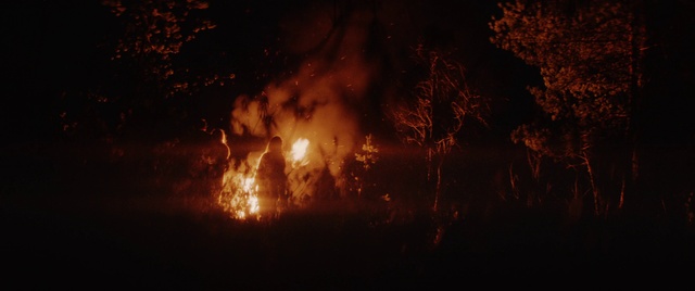 Video Reference: Atmosphere, Amber, Branch, Wood, Tree, Grass, Heat, Woody plant, Fire, Flame