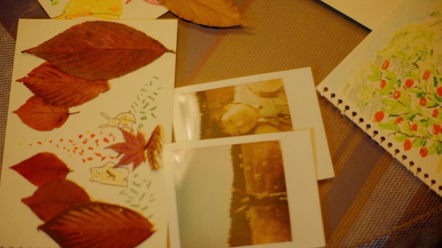 Video Reference: Brown, Leaf, Amber, Yellow, Art, Glove, Creative arts, Tints and shades, Rectangle, Wood