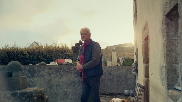 Video Reference: Sky, Cloud, Dog, Plant, Grass, Carnivore, Companion dog, Tree, Landscape, Winter