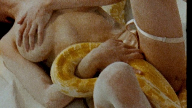 Video Reference: Comfort, Fawn, Beige, Art, Window, Snake, Linens, Reptile, Peach, Gesture