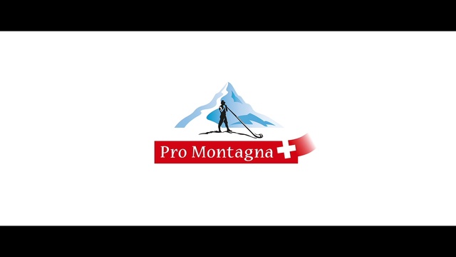 Video Reference: Triangle, Slope, Flag, Font, Electric blue, Brand, Graphics, Logo, Wind, Fashion accessory