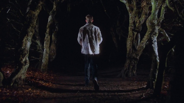 Video Reference: Plant, People in nature, Flash photography, Natural landscape, Wood, Standing, Trunk, Tree, Gesture, Twig