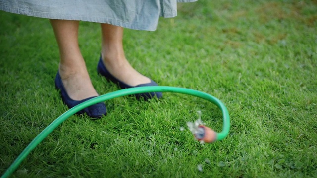 Video Reference: Shoe, Plant, People in nature, Shorts, Grass, Sandal, Barefoot, Recreation, Lawn, Foot