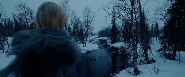 Video Reference: Water, Plant, Sky, Tree, Snow, Wood, Natural landscape, Sunlight, Twig, Watercourse