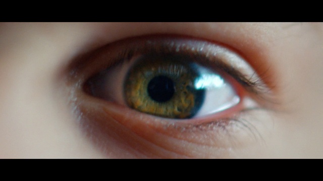 Video Reference: Vision care, Eyelash, Iris, Lens, Cameras & optics, Nerve, Wrinkle, Electric blue, Eye liner, Close-up