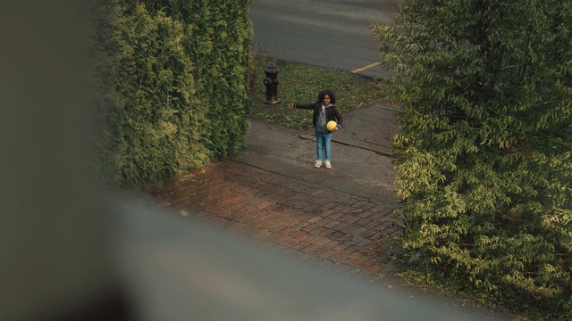 Video Reference: Plant, People in nature, Road surface, Asphalt, Sunlight, Grass, Shrub, Tints and shades, Landscape, Tree