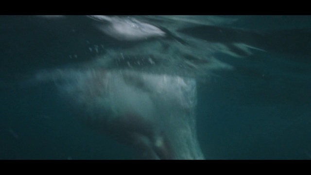 Video Reference: Water, Atmosphere, Sky, Azure, Liquid, Cloud, Astronomical object, Geological phenomenon, Rectangle, Calm