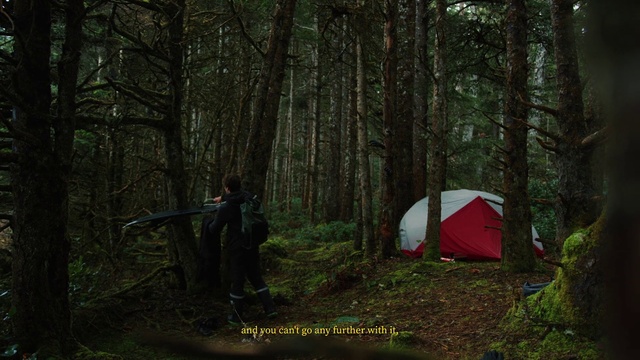 Video Reference: Plant, Plant community, Tent, Tree, Natural landscape, People in nature, Wood, Terrestrial plant, Biome, Grass