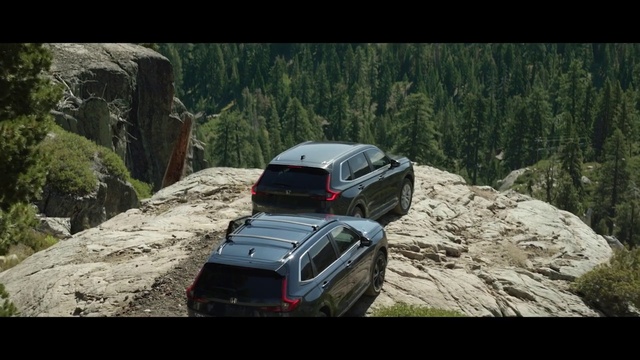 Video Reference: Tire, Land vehicle, Vehicle, Wheel, Car, Automotive tire, Plant, Hood, Automotive design, Motor vehicle