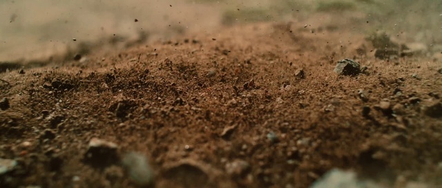 Video Reference: Brown, Grass, Wood, Soil, Natural material, Mixture, Terrestrial animal, Landscape