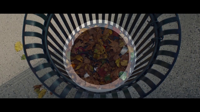 Video Reference: Road surface, Wood, Rectangle, Automotive tire, Art, Serveware, Dishware, Circle, Flooring, Cuisine