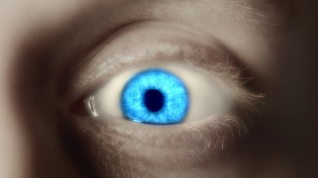 Video Reference: Eye, Eyelash, Iris, Smile, Snout, Electric blue, Circle, Whiskers, Toy, Fur