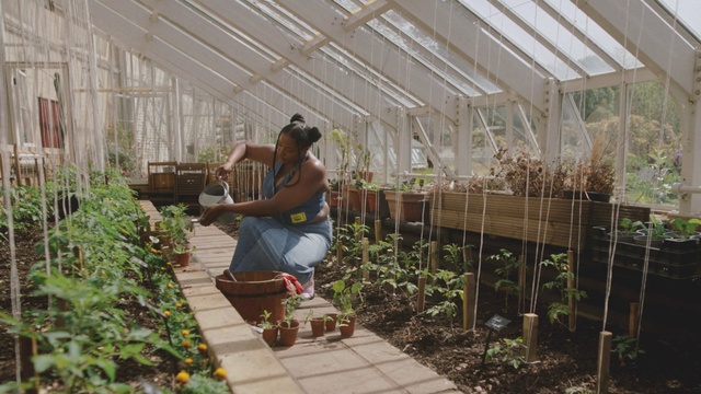 Video Reference: Plant, Botany, Greenhouse, Wood, Grass, Flower, Leisure, Groundcover, Landscape, Grass family