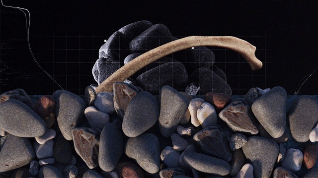 Video Reference: Organism, Font, Wood, Bedrock, Pebble, Rock, Scaled reptile, Electric blue, Metal, Rubble