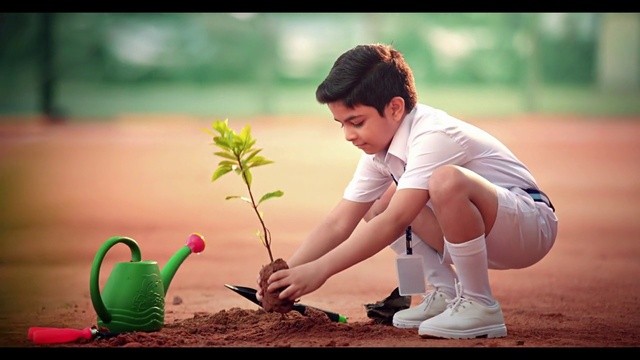 Video Reference: Footwear, Hand, Shoe, Plant, People in nature, Nature, Flash photography, Happy, Gesture, Finger