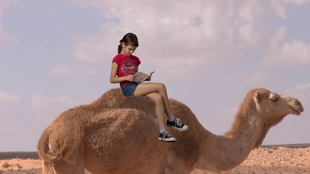 Video Reference: Sky, Cloud, Camel, Shorts, Working animal, Happy, Fawn, Camelid, People in nature, Travel