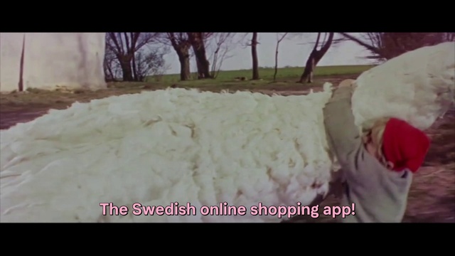 Video Reference: Tree, Happy, Petal, Font, Twig, Tints and shades, Rectangle, Event, Magenta, Linens