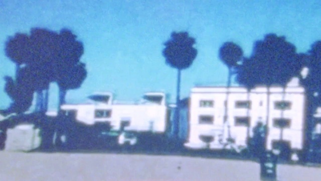 Video Reference: Building, Sky, Window, Rectangle, Tree, Font, House, Arecales, Plant, Tints and shades