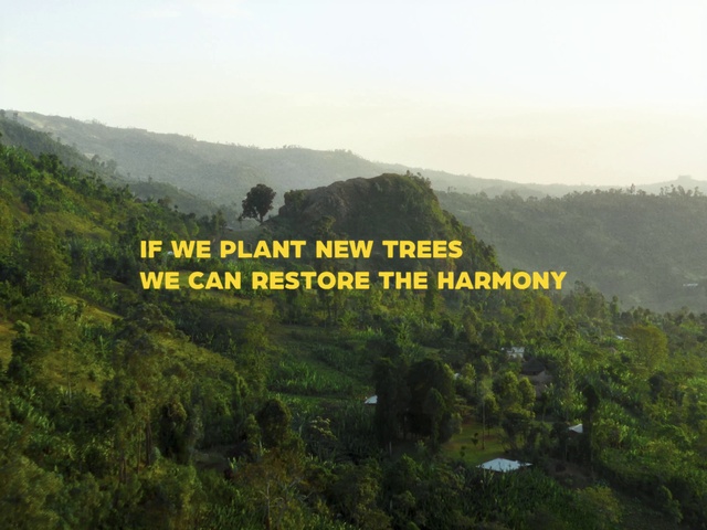 Video Reference: Sky, Plant, Mountain, Natural landscape, Atmospheric phenomenon, Font, Tree, Terrestrial plant, Landscape, Cloud
