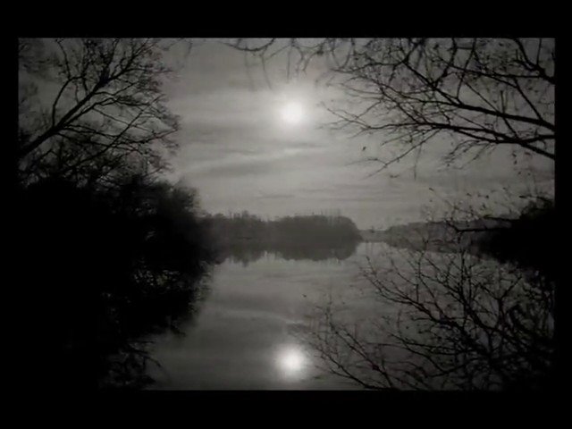Video Reference: landscape, lake, river, water, reflection, sunlight, trees, bare branches, winter, nature, sky, horizon, calm, outdoors