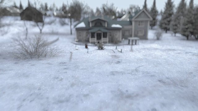 Video Reference: snow, winter, house, cabin, trees, landscape, rural, yard, frozen, outdoors, cold, residential, snowy ground, countryside