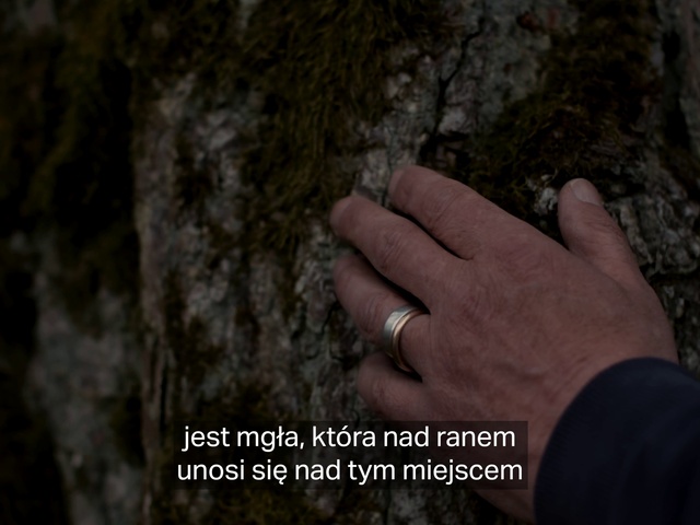 Video Reference: Hand, Wood, Gesture, Bedrock, Trunk, Finger, Nail, People in nature, Body jewelry, Jewellery