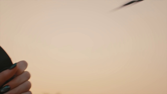 Video Reference: Brown, Gesture, Sky, Tints and shades, Wood, Thumb, Nail, Horizon, Cloud, Wrist