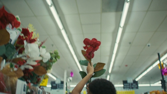 Video Reference: Plant, Flower, Light, Petal, Organism, Line, Event, Ceiling, Flowering plant, Artificial flower