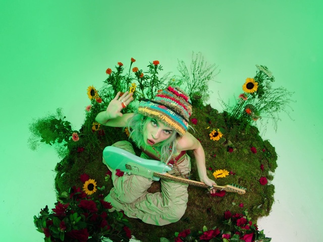 Video Reference: Plant, Green, Botany, Branch, Holiday ornament, Christmas ornament, Evergreen, Ornament, Toy, Happy