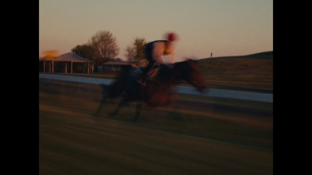 Video Reference: Horse, Sky, Horse tack, Horse supplies, Working animal, Helmet, Bridle, Equestrian sport, Equestrianism, Sorrel