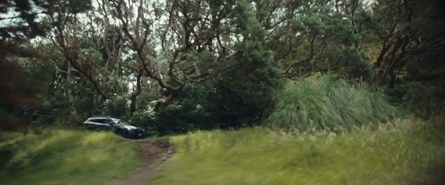Video Reference: Plant, Natural landscape, Tree, Grass, Vehicle, Car, Shrub, Groundcover, Landscape, Motor vehicle