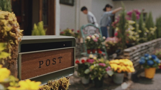 Video Reference: Plant, Leaf, Botany, Orange, Grass, Wood, Flowerpot, Public space, Flower, Flower Arranging