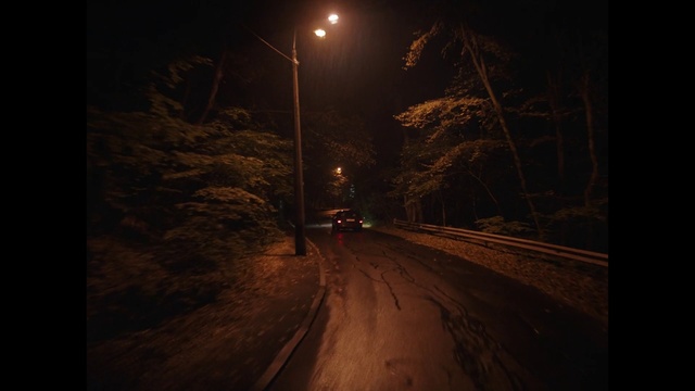 Video Reference: Brown, Atmosphere, Street light, Plant, Automotive lighting, Leaf, Nature, Road surface, Branch, Lighting