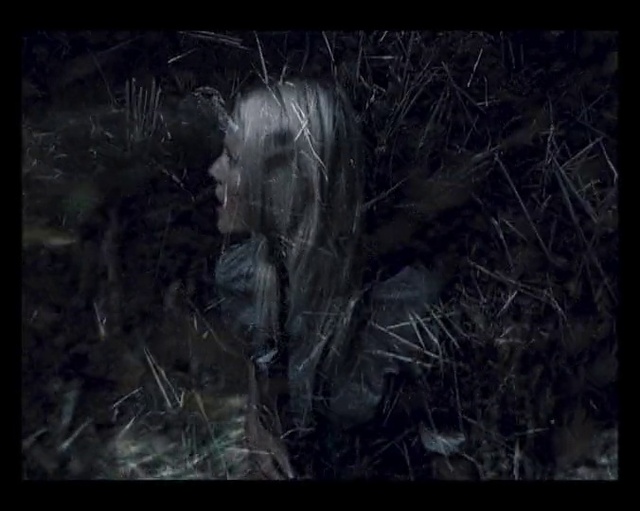 Video Reference: Organism, Art, Wood, Space, Twig, Darkness, Grass, Visual arts, Painting, Font