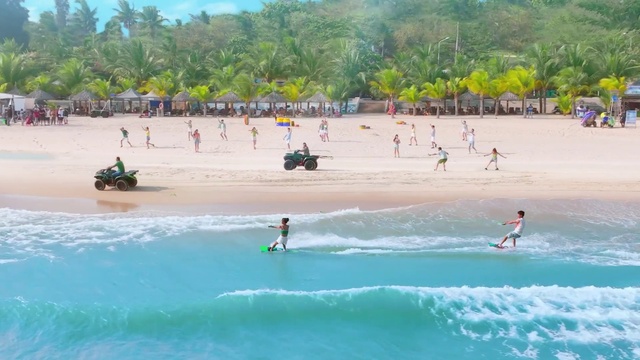 Video Reference: Water, Plant, Tree, Natural environment, Beach, People on beach, Coastal and oceanic landforms, Body of water, Leisure, Travel