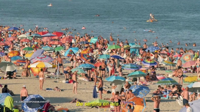 Video Reference: Water, People on beach, Umbrella, Beach, Swimwear, Body of water, Travel, Coastal and oceanic landforms, Crowd, Leisure
