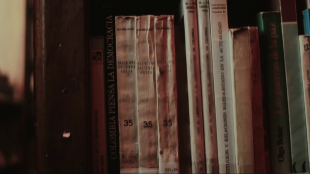 Video Reference: Brown, Bookcase, Shelf, Publication, Shelving, Wood, Book, Font, Tints and shades, Hardwood