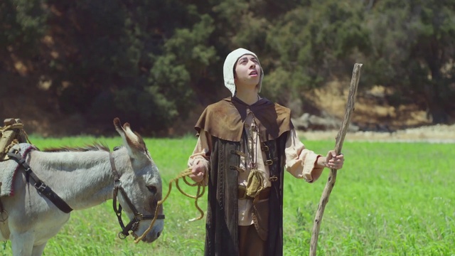 Video Reference: Working animal, Plant, Grass, Horse tack, Tree, Bridle, Grassland, Landscape, Meadow, Recreation