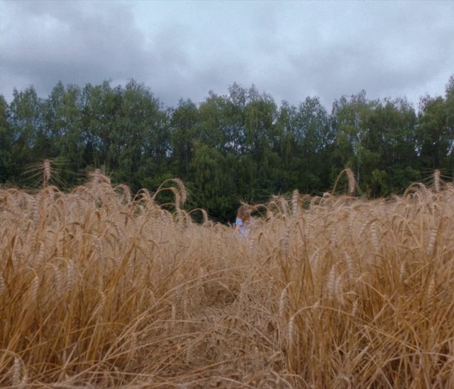 Video Reference: Sky, Cloud, Plant, Tree, Natural landscape, Agriculture, Plain, Grass, Meadow, Shrub