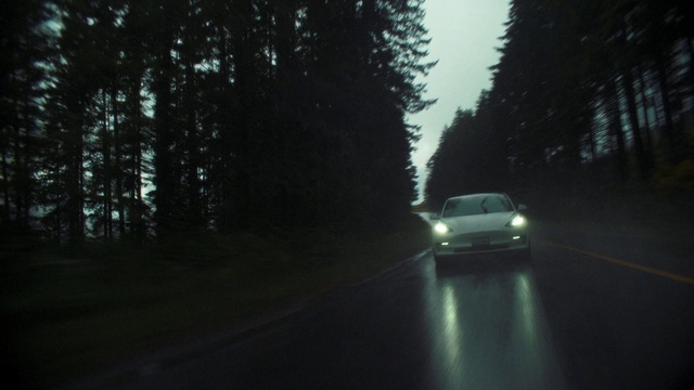 Video Reference: Sky, Car, Automotive lighting, Vehicle, Hood, Motor vehicle, Plant, Road surface, Asphalt, Tree